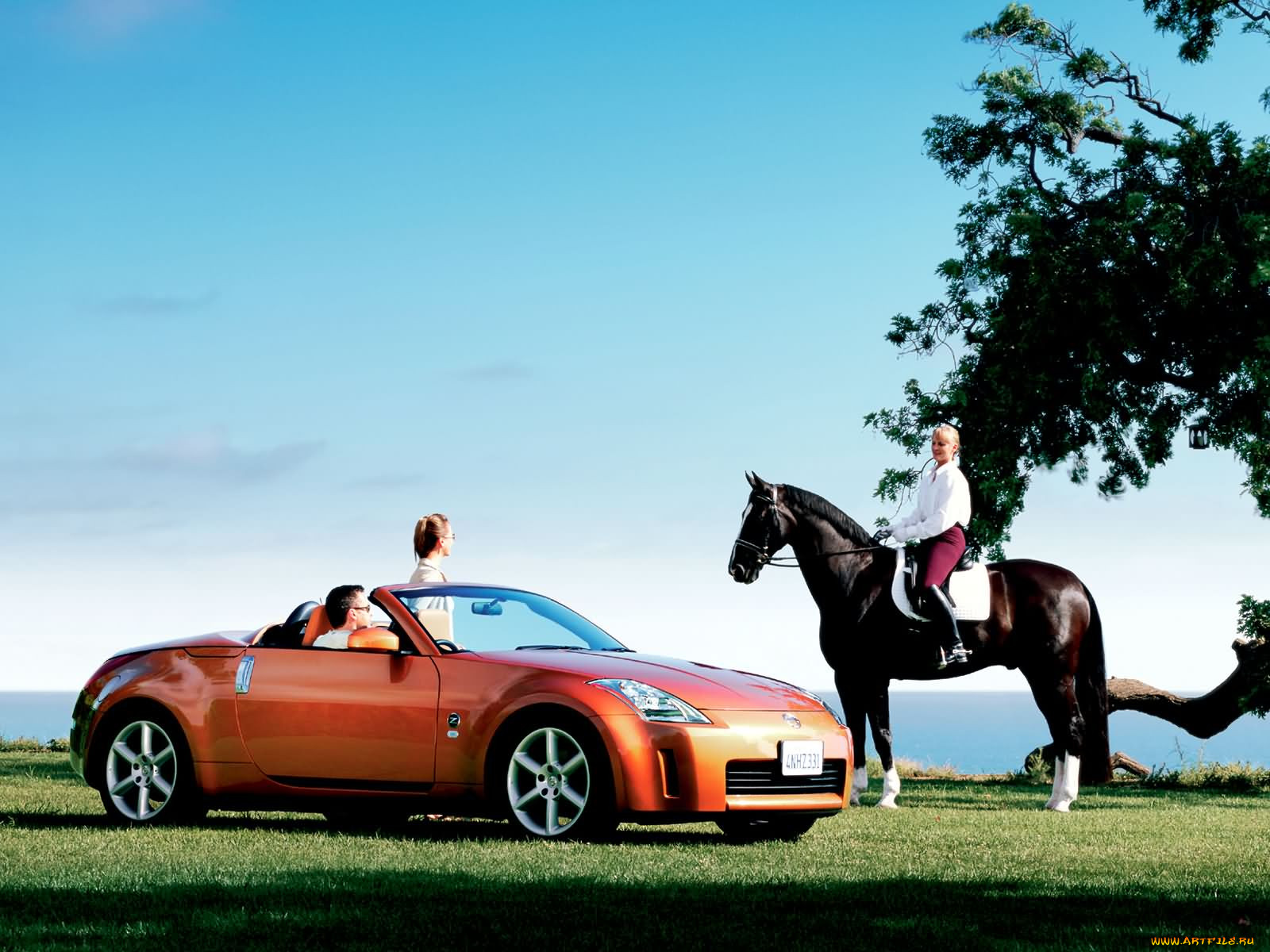 , nissan, datsun